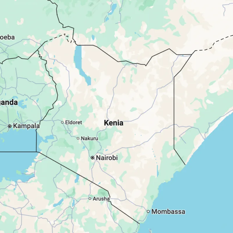 Welfare Futures Recap: Ruth Prince on Solidarity, Precarity, and the Limits of Social Protection in Kenya