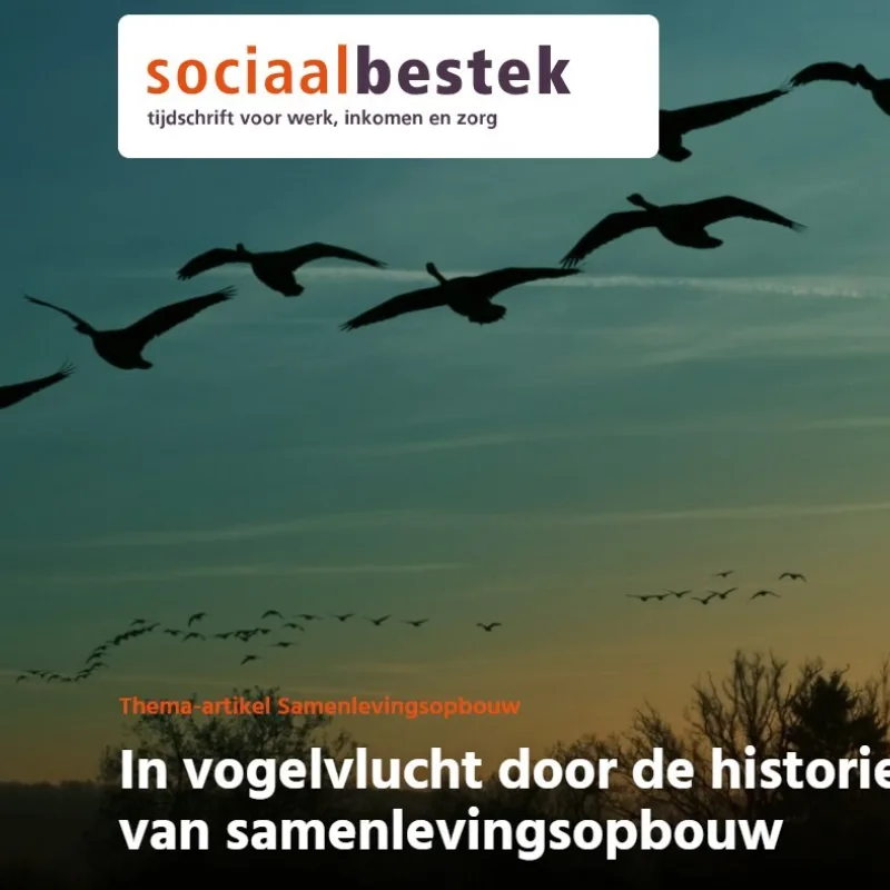 In vogelvlucht door de historie van samenlevingsopbouw